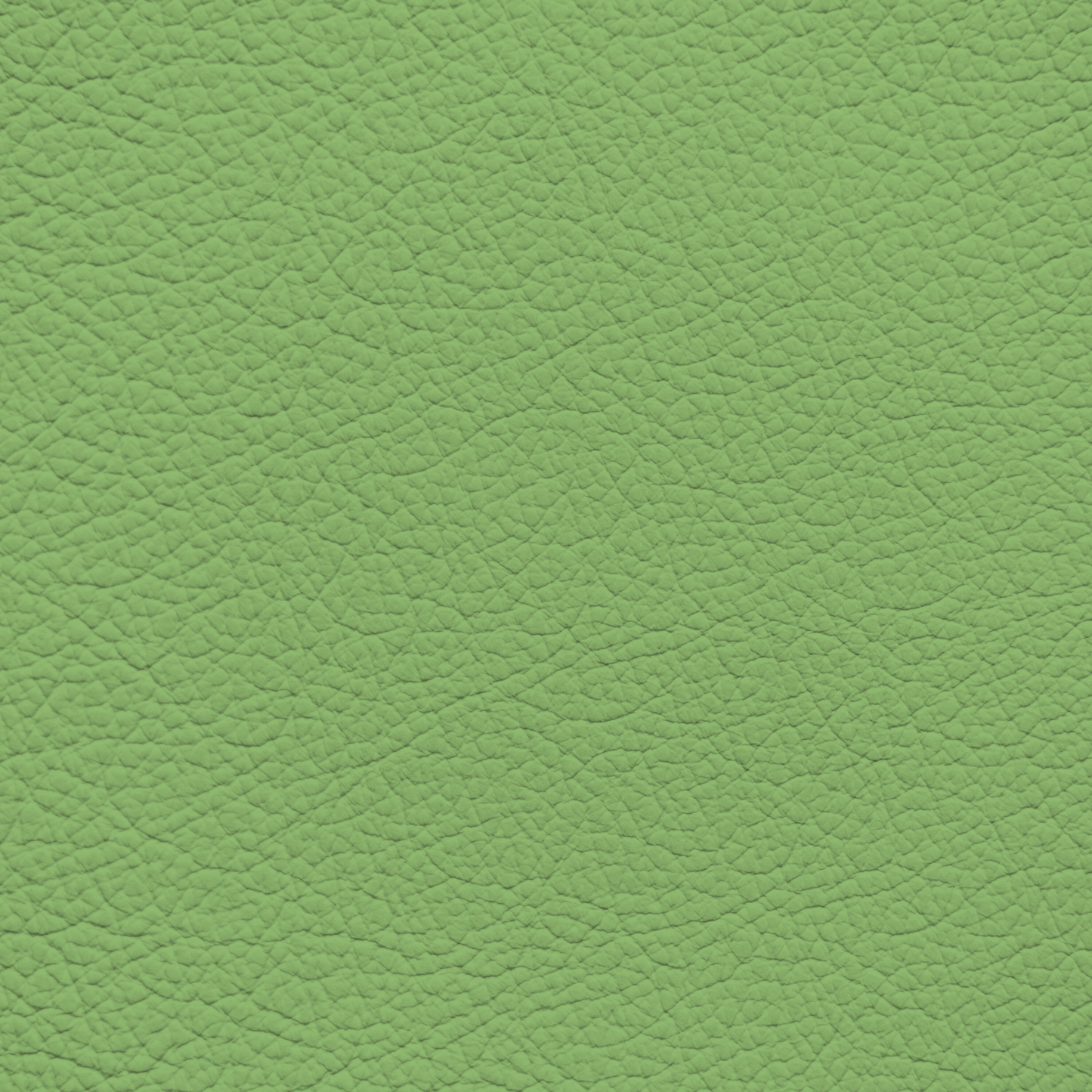 WALK101 — Pistachio