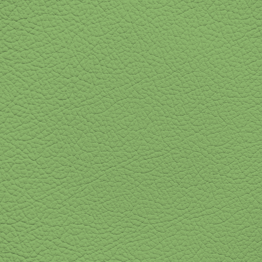 WALK101 — Pistachio
