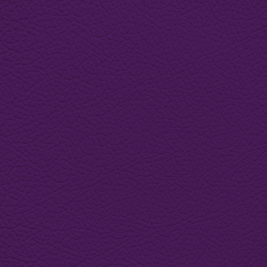 WALK101 — Plum