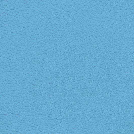 WALK101 — Powder Blue