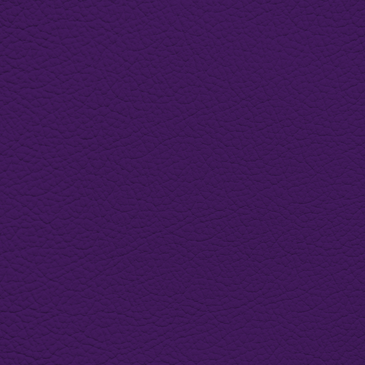 WALK101 — Regal Purple