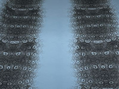 Faux Floral Lizard- Blue/Black 18 in x 54 in