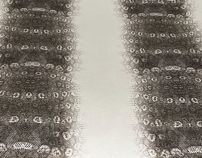 Faux Floral Lizard- White/Black 18 in x 54 in