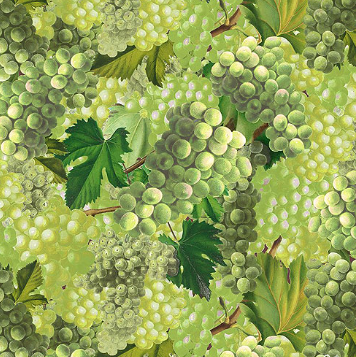 CW Cheers Green