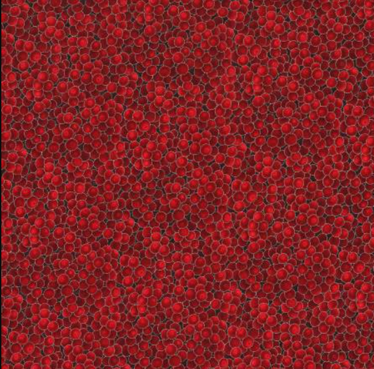 HO Red/Silver Brilliant Blender w/Metallic Christmas