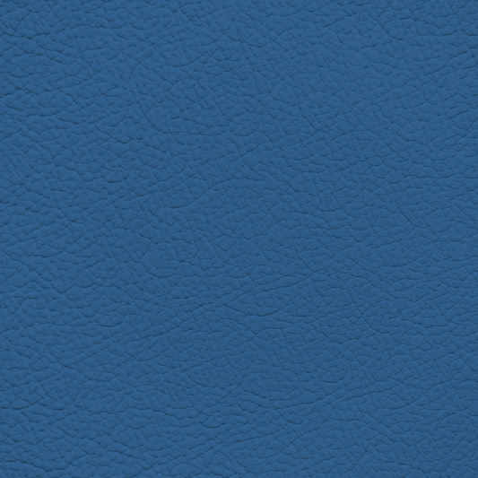 WALK101 — Slate Blue