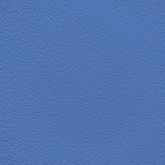 WALK101 — Steel Blue