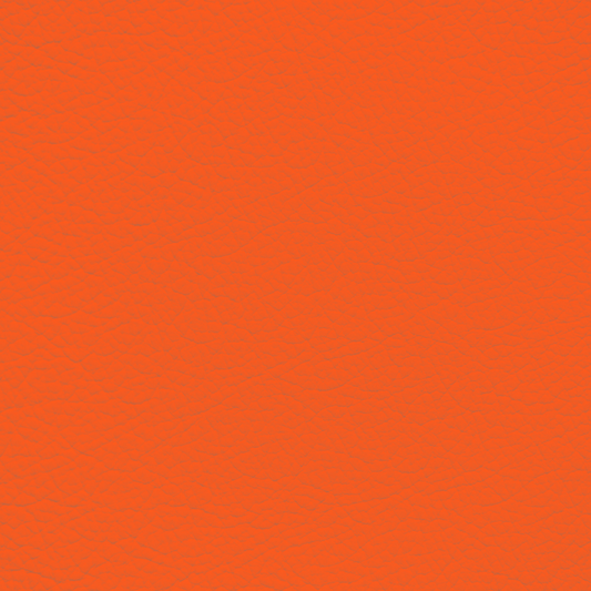 WALK101 — Tangerine