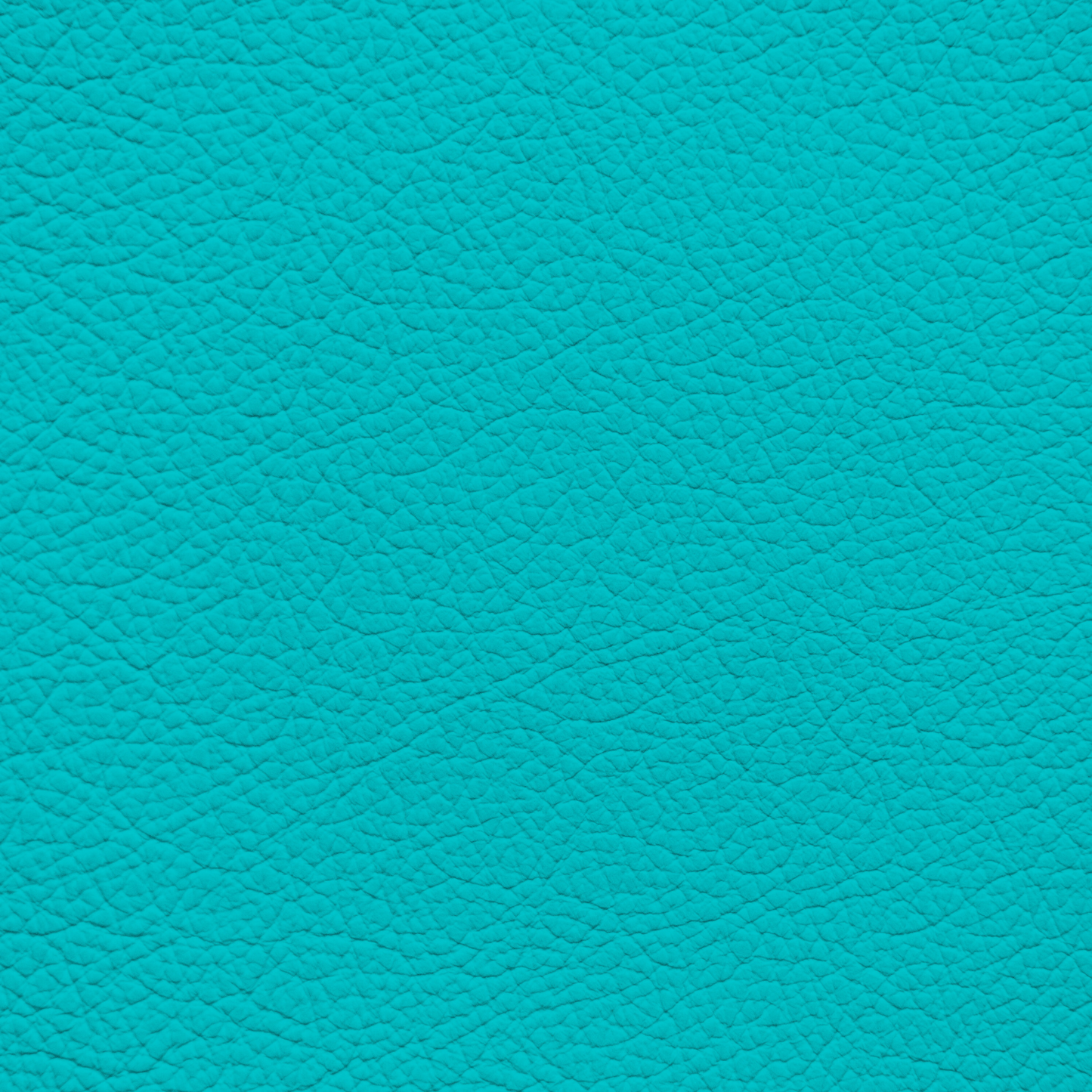 WALK101 — Turquoise Rush