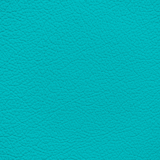 WALK101 — Turquoise Rush